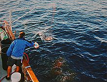 Foto do homem caindo chum fora do lado de um barco