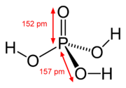 O ácido fosfórico-2D-dimensions.png