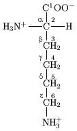 A lisina contém seis átomos de carbono. O átomo de carbono central ligado aos grupos amino e carboxilo é rotulado alfa. Os quatro átomos de carbono na sua cadeia lateral linear são rotulados de beta (mais próximo do carbono central), gama, delta, através do carbono epsilon no fim da cadeia e mais afastadas do centro de carbono.